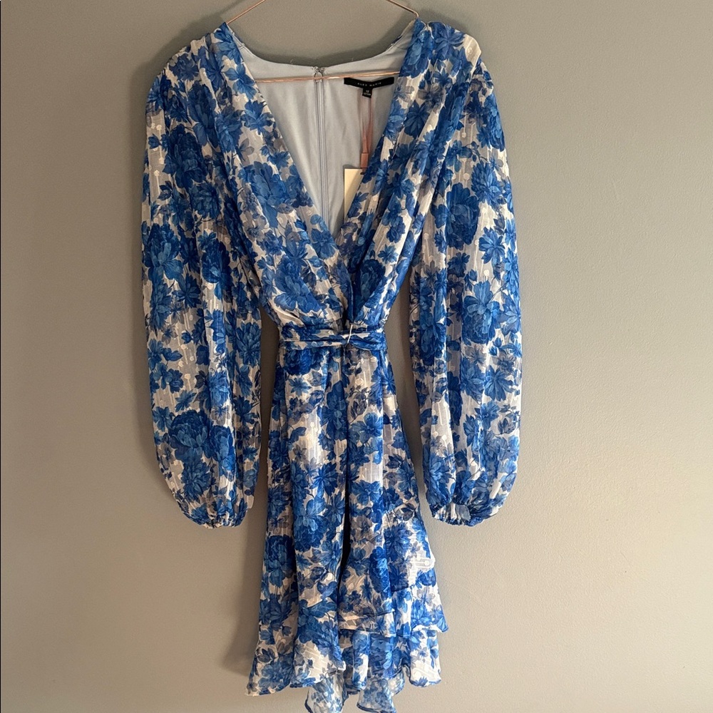 Alex Marie Blue and White Floral Long Sleeve Dress